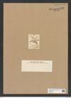 Triceratium productum Grev. (de-Toni-Nr.: Genus 140, Species 3966) Zeichnungen Sammlung Grunow Nr. 7442 (NHMW-BOT-W0376528)